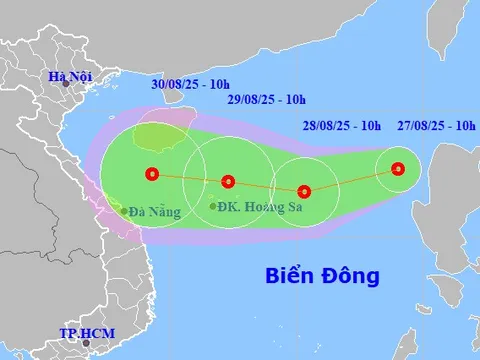 Ứng phó với áp thấp nhiệt đới trên biển Đông