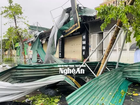 Nhanh chóng khắc phục hậu quả bão số 5 và mưa lũ, khôi phục sản xuất, kinh doanh, ổn định tình hình Nhân dân