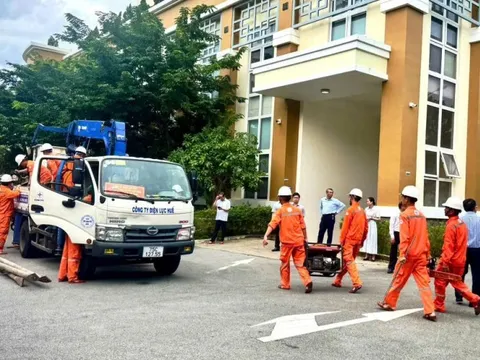 EVNCPC huy động công nhân, kỹ sư hỗ trợ Hà Tĩnh khắc phục lưới điện sau bão số 5