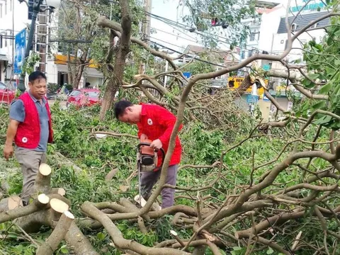 Hội Chữ thập đỏ Việt Nam cứu trợ khẩn cấp người dân 3 tỉnh miền Trung bị thiệt hại do bão số 5