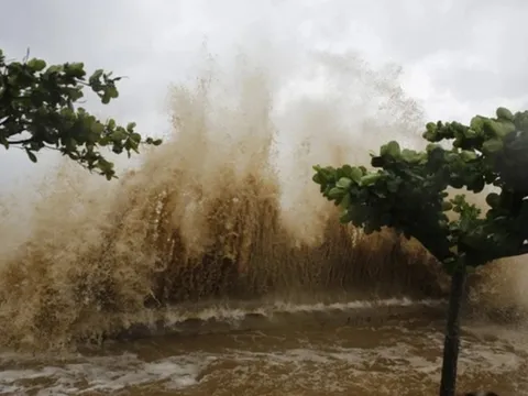 Áp thấp nhiệt đới đi nhanh hơn, hướng thẳng vào nơi nào nước ta?