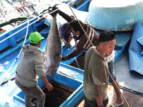 Khánh Hòa phát động đợt thi đua cao điểm chống IUU