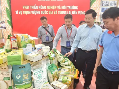 Các gian hàng đã sẵn sàng cho ngày khai mạc Triển lãm