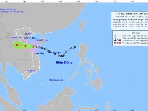 Bão số 6 đi vào đất liền chiều tối 30/8, gây mưa lớn