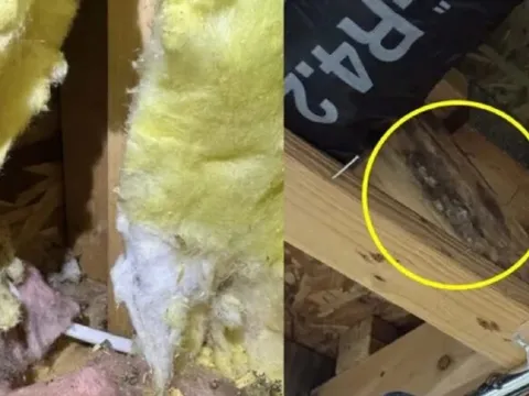 Bỏ 10 tỷ mua nhà, cặp vợ chồng trẻ thấy thứ đáng sợ "náu" trong nhà