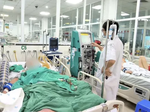 Bị gai đâm, người đàn ông sốc nhiễm trùng, nguy kịch tính mạng