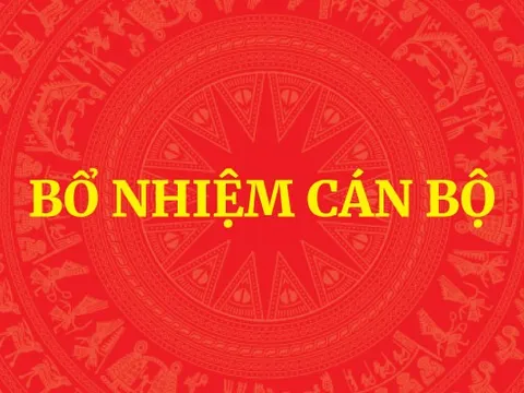 Thủ tướng quyết định bổ nhiệm lãnh đạo một số bộ, cơ quan