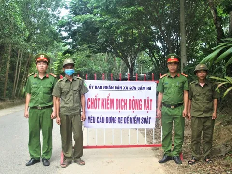 Miền Trung kiểm soát dịch tả lợn châu Phi, hướng dẫn người dân tái đàn an toàn