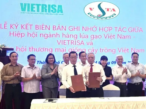 Khoa học công nghệ nâng tầm hạt giống lúa gạo Việt Nam
