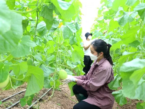 Khả thi mục tiêu 65 tỷ USD xuất khẩu nông, lâm, thủy sản