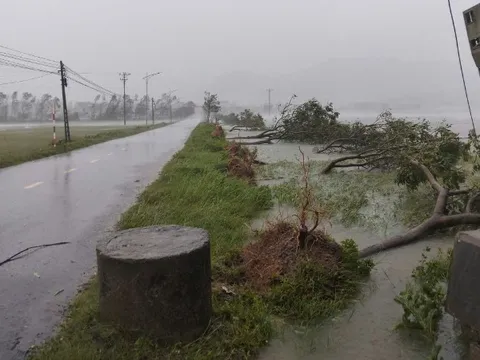 Không khí lạnh đến sớm, dự báo còn 5-7 cơn bão trên Biển Đông