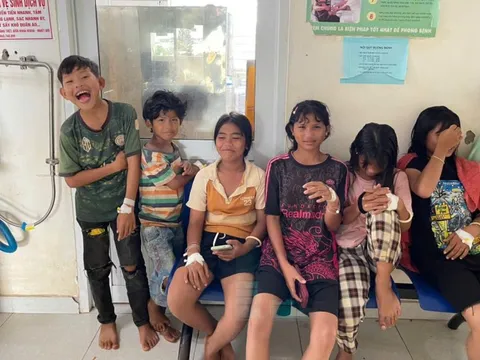 9 học sinh nhập viên do ngộ độc khi ăn thịt cóc
