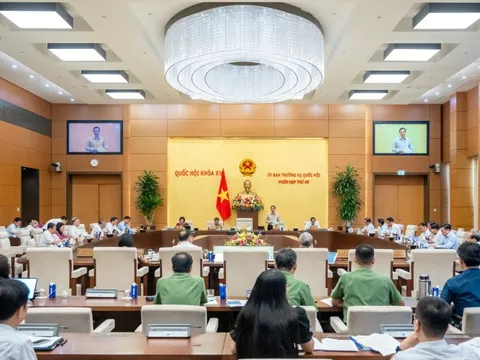 Hoàn thiện hành lang pháp lý đối với hoạt động lý lịch tư pháp