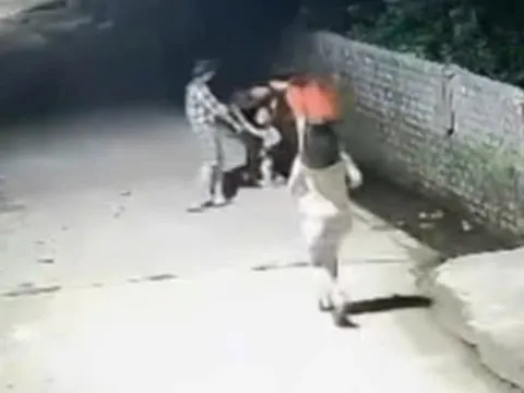 Bé trai 4 tuổi nhanh trí cứu em 2 tuổi rơi xuống mương, ai chứng kiến cũng khen hết lời
