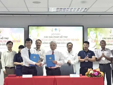 Đề án 1 triệu ha lúa: Lợi ích kép cho nông dân, môi trường và an ninh lương thực
