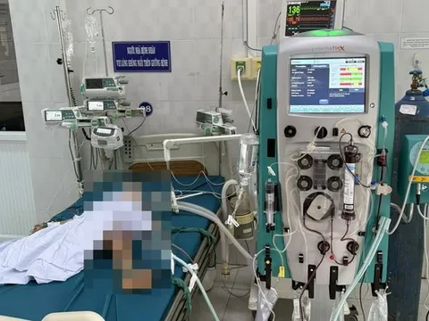 3 bé trai mồ côi bị ong vò vẽ đốt, một bé tử vong