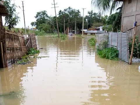 Ứng phó lũ, bảo đảm an toàn đê điều
