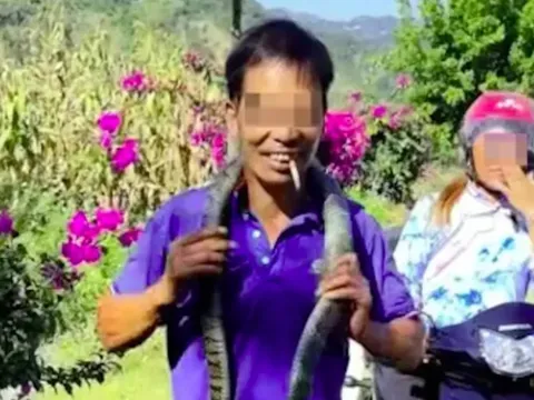 Người đàn ông bị rắn cực độc cắn tử vong chỉ vì nghịch dại
