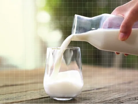 Uống sữa tươi bị tiêu chảy, vì sao?