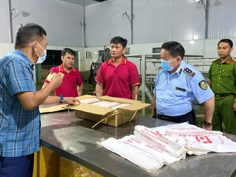 Vụ phát hiện 100 tấn thịt lợn không rõ nguồn gốc ở Gia Lai: Xử phạt hành chính 90 triệu đồng