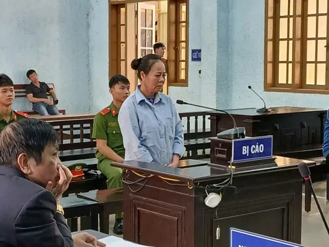 "Cầm" 4,6 tỷ đồng của người khác rồi "hồn nhiên" tiêu, người phụ nữ trả giá cực đắt