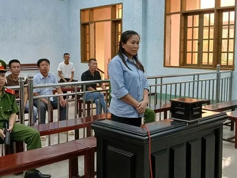 Thủ đoạn giúp nữ kế toán tham ô hàng trăm triệu đồng