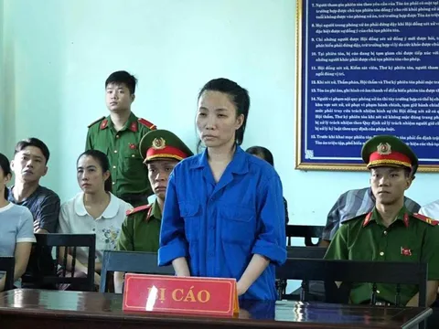 Lừa 2 người chiếm đoạt hơn 10 tỷ đồng, nữ điều dưỡng trả giá đắt