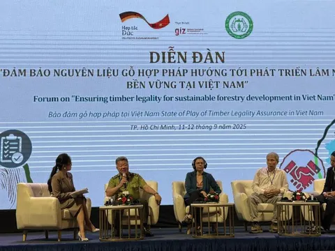 Thúc đẩy nguồn gỗ minh bạch cho thị trường