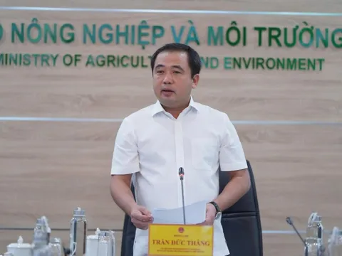 Thị trường gạo Việt Nam: Liên kết sản xuất là chìa khóa ổn định thị trường