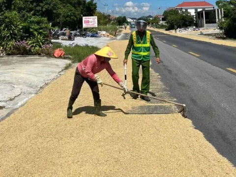 Phơi lúa ngoài đường gây hậu quả nghiêm trọng có thể bị phạt tù