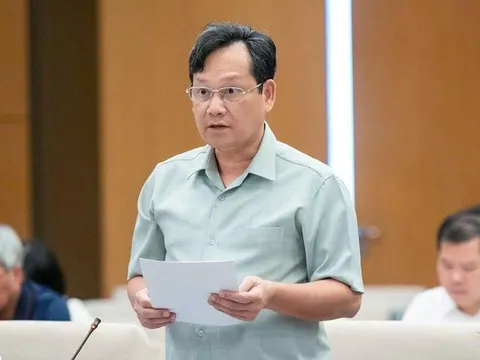 Đề xuất một số trường hợp không cấm đảm nhiệm chức vụ sau khi doanh nghiệp bị tuyên bố phá sản