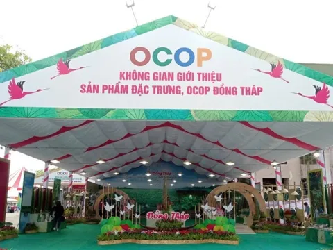 Thương mại Đồng Tháp: Tăng tốc số hóa, mở rộng chuỗi giá trị