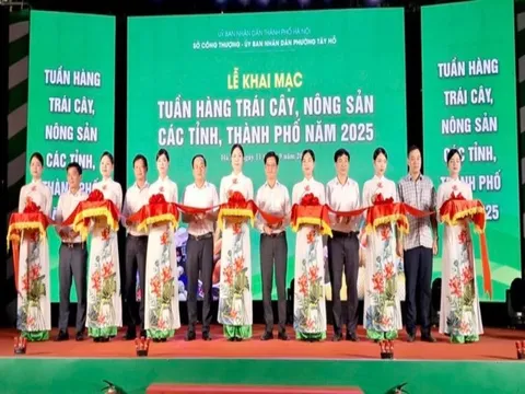 Khai mạc Tuần hàng trái cây, nông sản các tỉnh, thành phố năm 2025