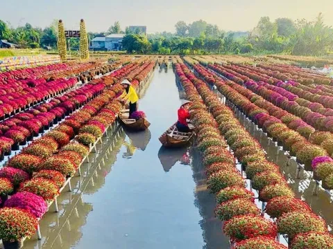 Festival Hoa-Kiểng Sa Đéc 2025: Bứt phá để khẳng định thương hiệu du lịch quốc tế