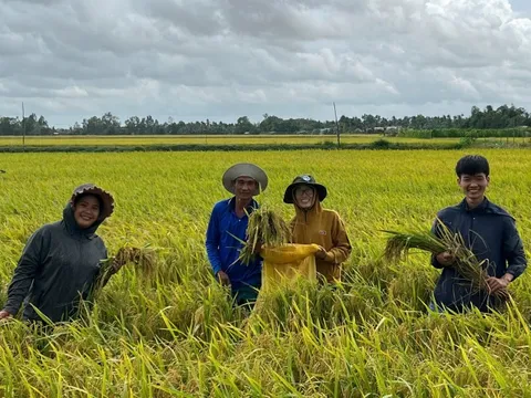 Những bước tiến vượt bậc trong canh tác lúa chất lượng cao, phát thải thấp