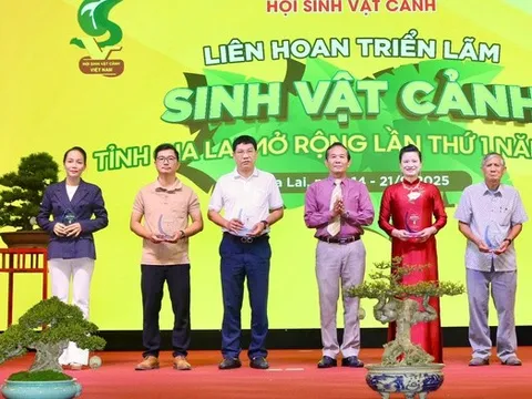 Hơn 5.000 tác phẩm trưng bày tại Liên hoan triển lãm sinh vật cảnh tỉnh Gia Lai