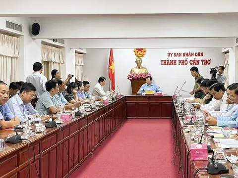 Cần Thơ phát hiện 622 vụ vi phạm buôn lậu, gian lận thương mại và hàng giả