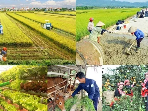 Chương trình MTQG vùng dân tộc thiểu số và miền núi: Hoàn thiện pháp lý, tăng tốc giải ngân