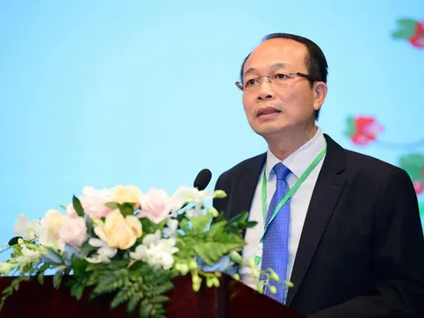 Huế không thể chỉ dựa vào những thế mạnh truyền thống để phát triển
