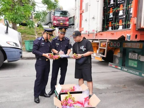 Tăng hiệu quả quản lý hải quan từ đường dây nóng hỗ trợ người dân, doanh nghiệp