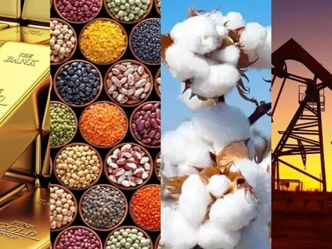 THỊ TRƯỜNG HÀNG HÓA: Sắc đỏ bao trùm