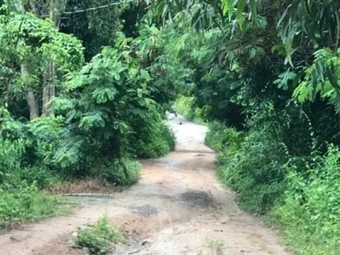 Nghi can dùng dao sát hại mẹ và chị gái trọng thương: Vừa cai nghiện trở về địa phương