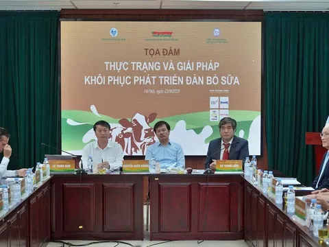 Ngành chăn nuôi bò sữa: Hướng tới chuỗi liên kết khép kín để hợp tác phát triển