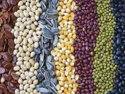 THỊ TRƯỜNG HÀNG HÓA: MXV-Index nối dài chuỗi 4 phiên giảm