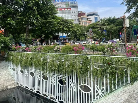 Hà Nội: Cải tạo cảnh quan sông Tô Lịch bằng chậu hoa và máy sục khí
