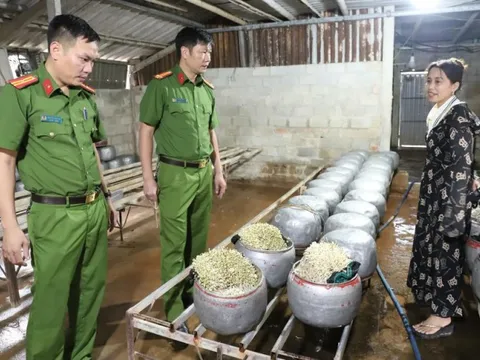Hà Tĩnh: Lại phát hiện cơ sở dùng “nước kẹo” sản xuất giá đỗ bán ra thị trường