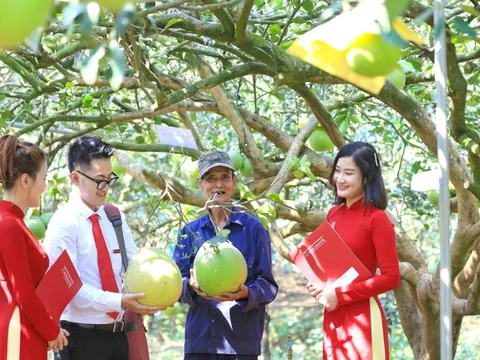 Agribank triển khai tín dụng xanh, góp phần thực hiện mục tiêu phát thải ròng bằng ‘0’