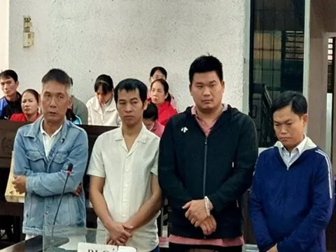 Vụ sản xuất hơn 10.000kg giá đỗ bằng chất cấm: Nhóm bị cáo lĩnh án tù