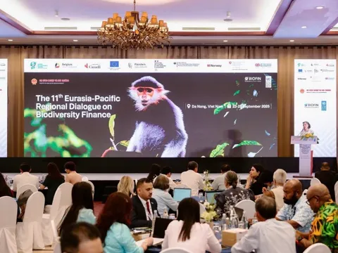 Thúc đẩy tài chính bền vững cho bảo tồn đa dạng sinh học