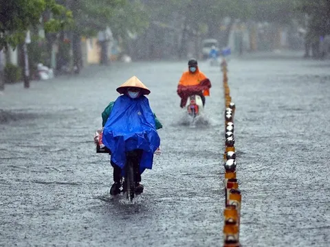 Bão số 9 Ragasa giật cấp 10, cách Móng Cái 100km, nhiều nơi mưa to dữ dội